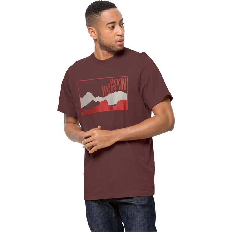 Jack Wolfskin Mens Ausblick T-Shirt-2